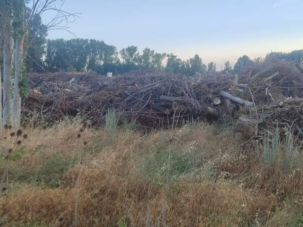 parcelas la lastra (2)