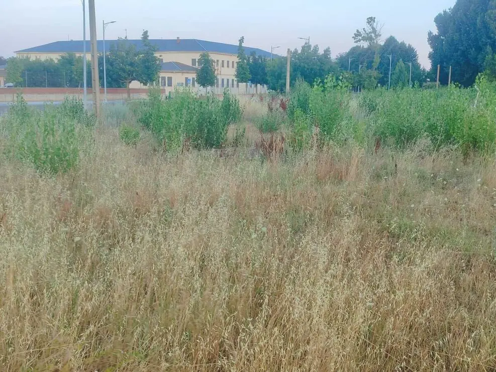 parcelas la lastra (3)