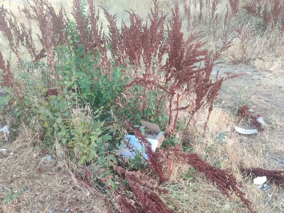 parcelas la lastra (4)