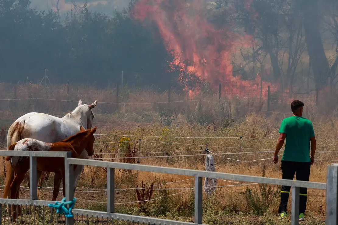 Incendio de nivel dos en Navatejera (Le&oacute;n)