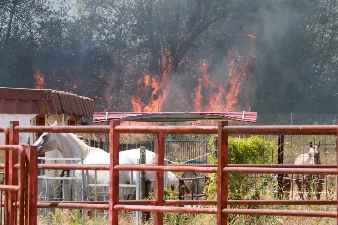 Incendio de nivel dos en Navatejera (Le&oacute;n)