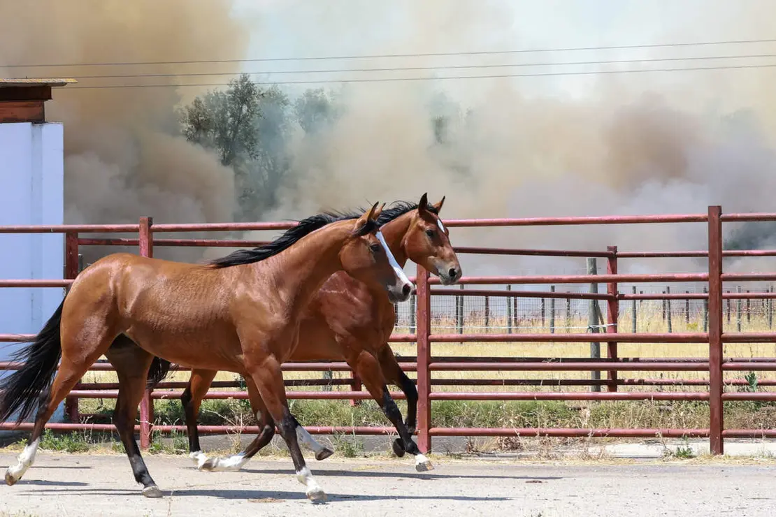 Incendio de nivel dos en Navatejera (Le&oacute;n)