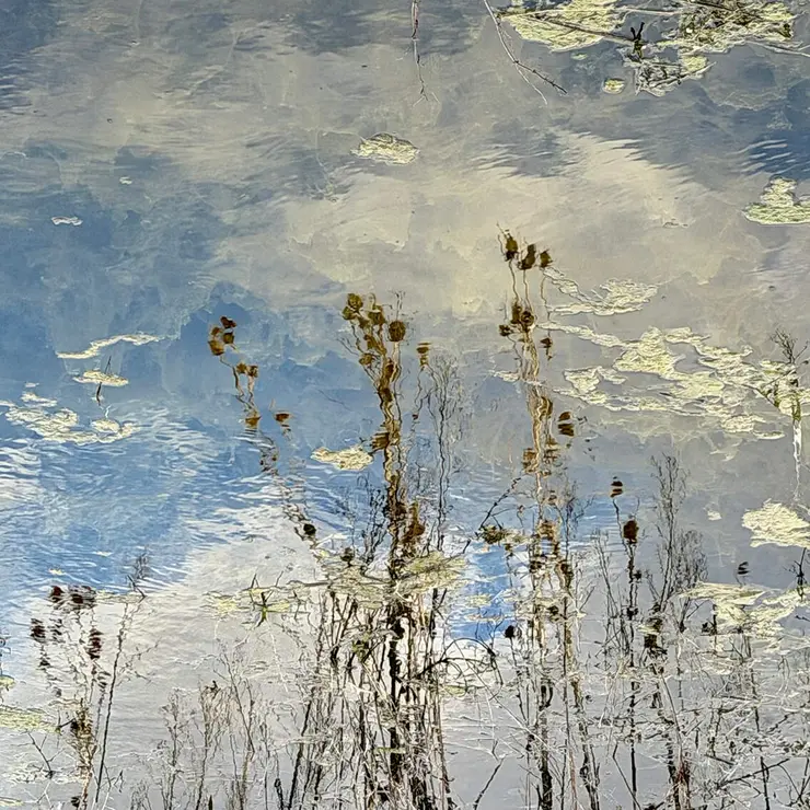 Paisaje del cielo arrobado (002)