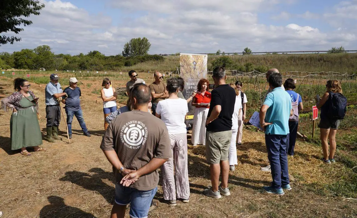 huertos  souto vivo (1)