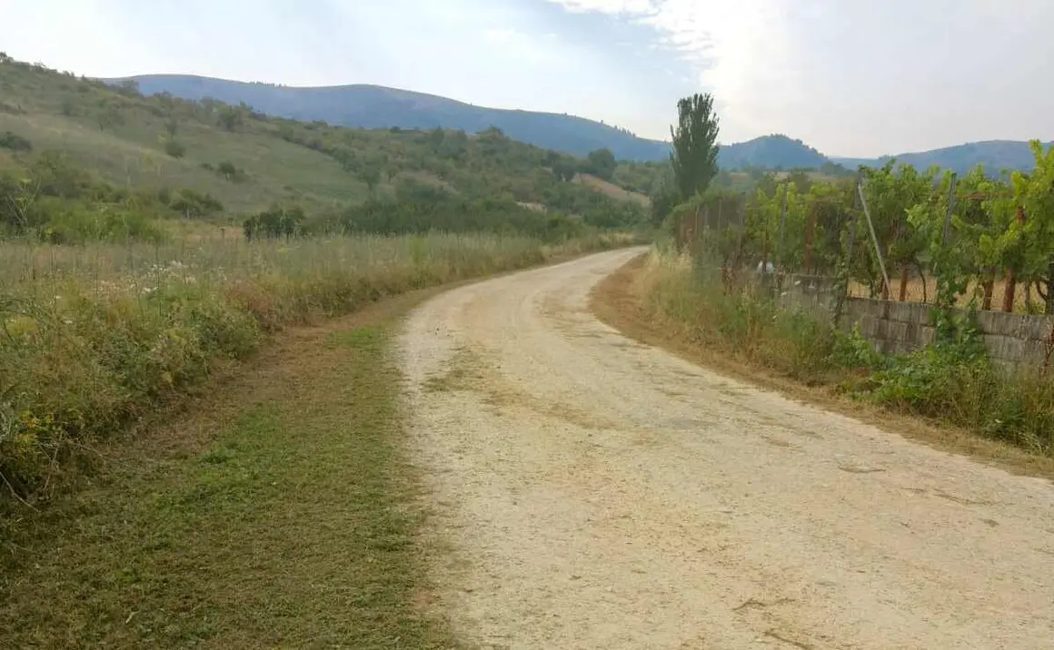 Desbroces Camino de Santiago, Campo, Escaril 1