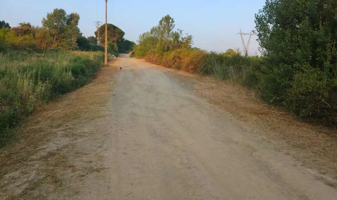 Desbroces Camino de Santiago, Campo, Escaril 2