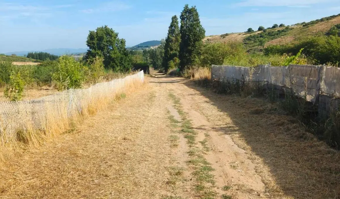 Desbroces Camino de Santiago, Campo, Escaril 4