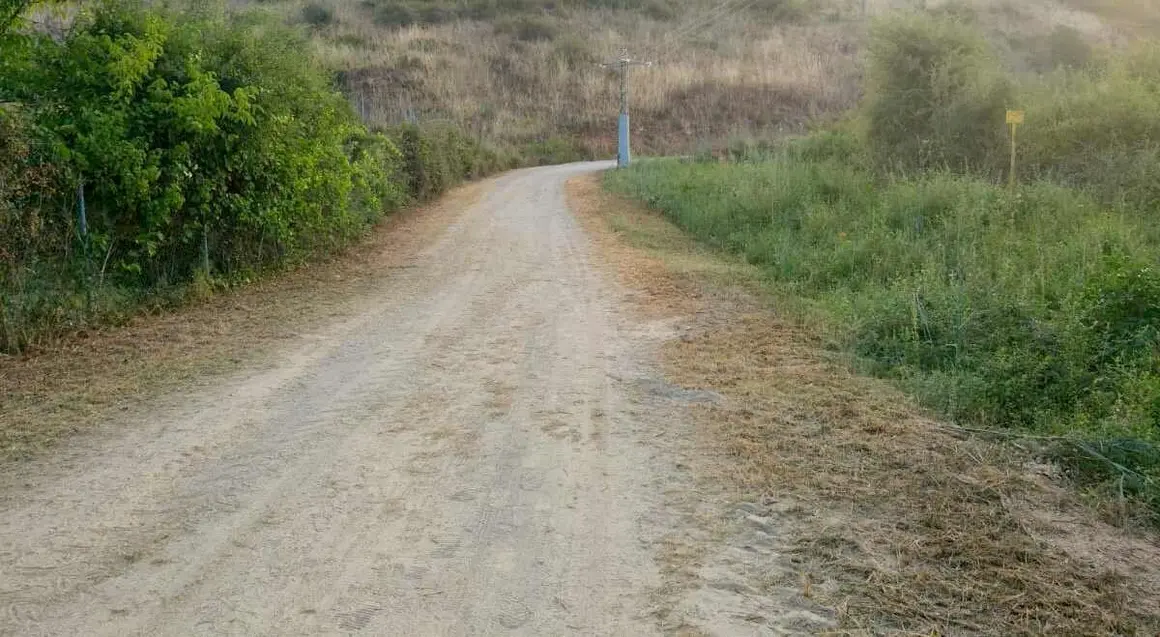 Desbroces Camino de Santiago, Campo, Escaril 5