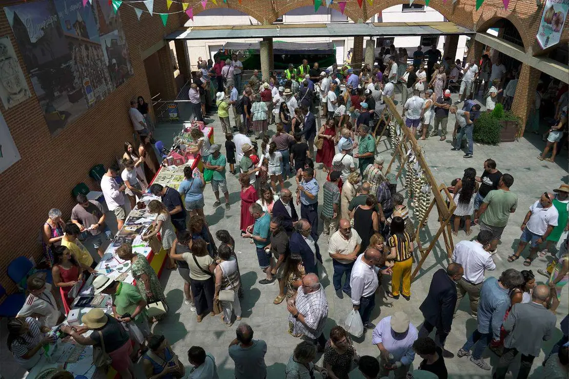 feria ajo santa marina (8)