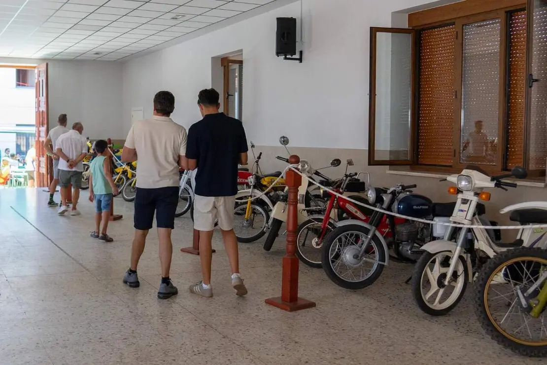 feria ajo santa marina (11)