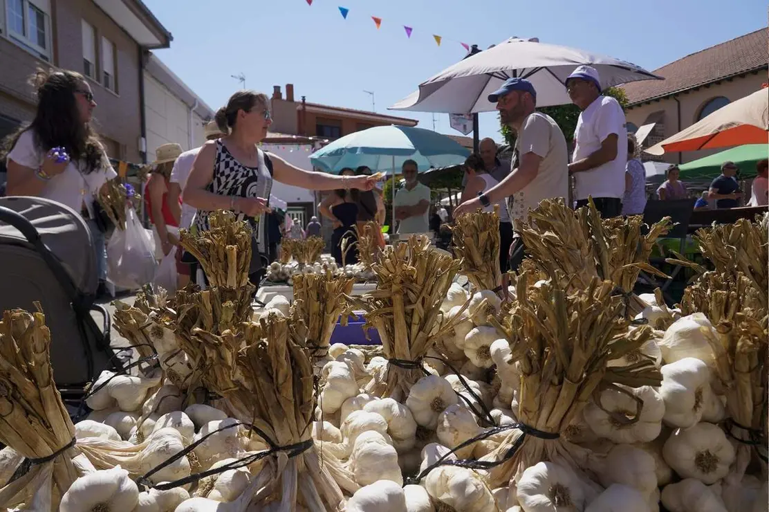 feria ajo santa marina (14)