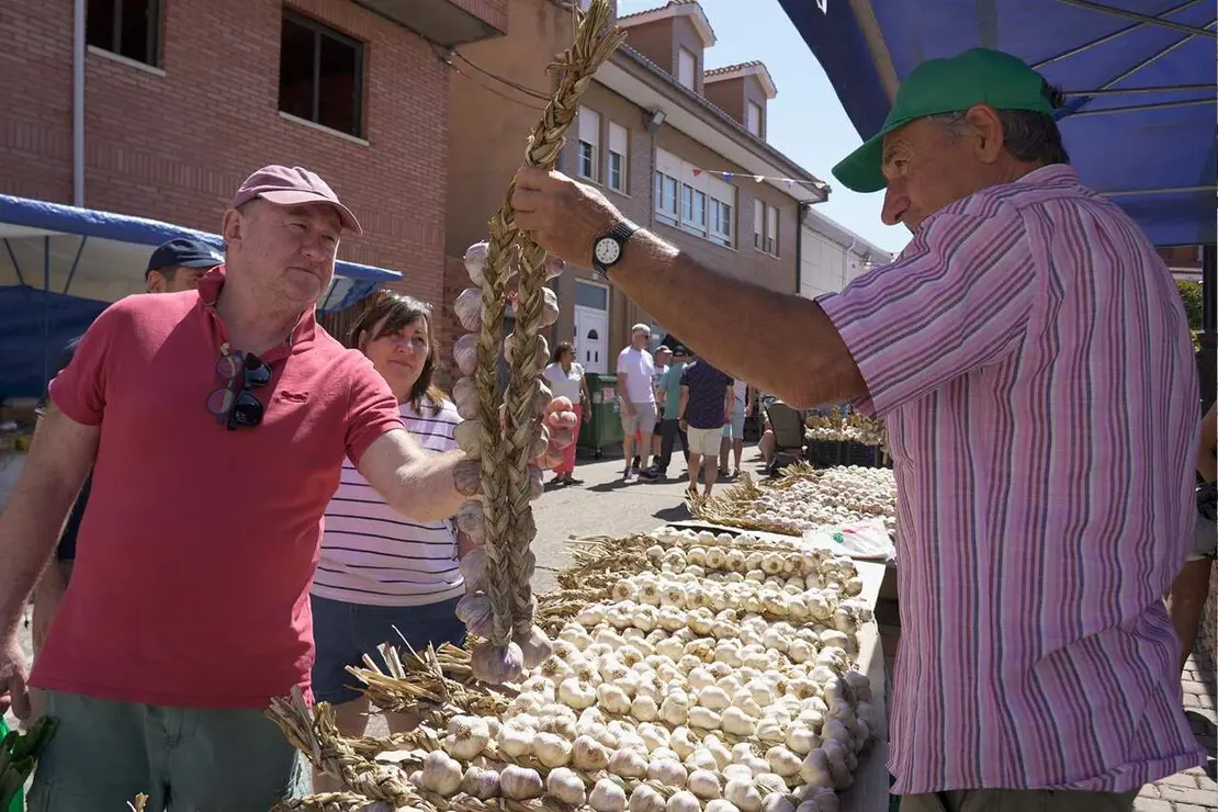 feria ajo santa marina (15)