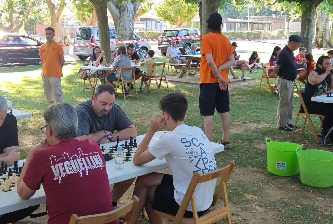 La veteran&iacute;a de P&eacute;rez Re&ntilde;ones se impone en el IV Torneo de Ajedrez de Veguellina.