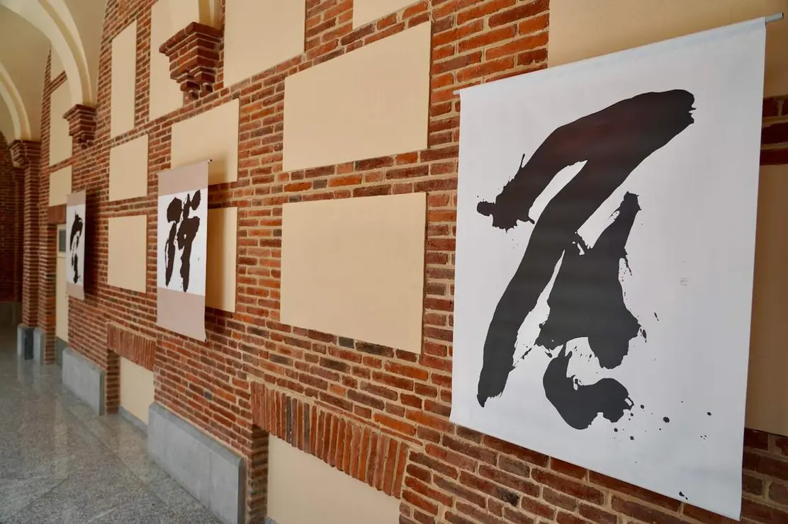 Exposici&oacute;n (6)