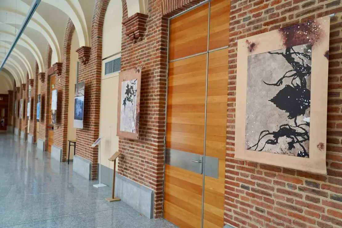 Exposici&oacute;n (8)