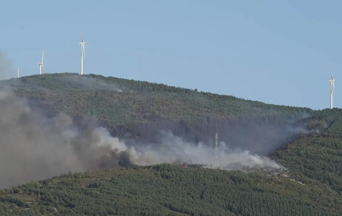 Incendio Bierzo y Castropodame (5)