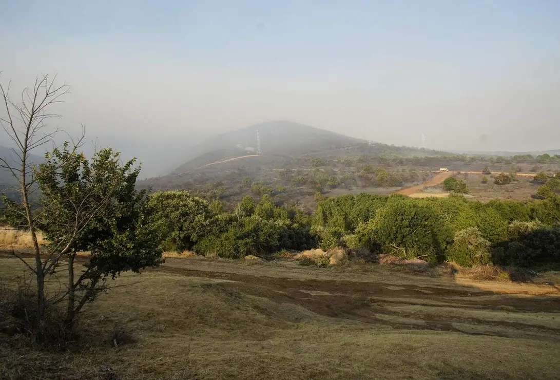 Castropodame (20)
