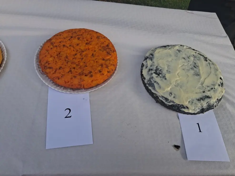 Tortilla (1)