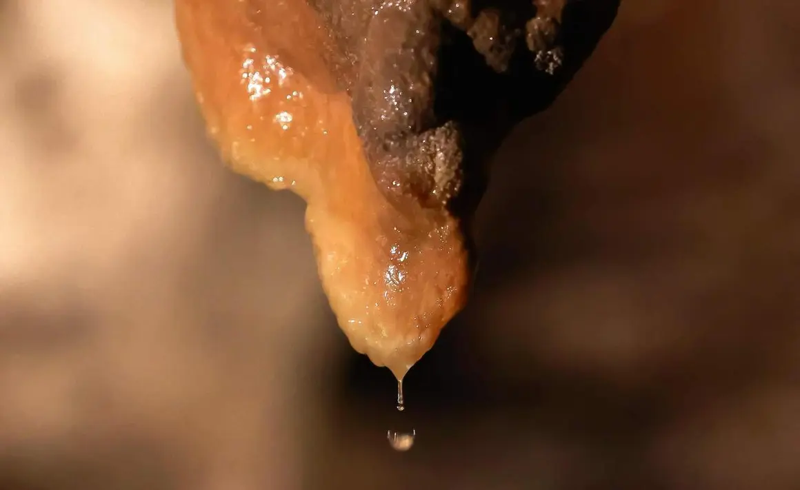 Cueva de Valporquero (16)