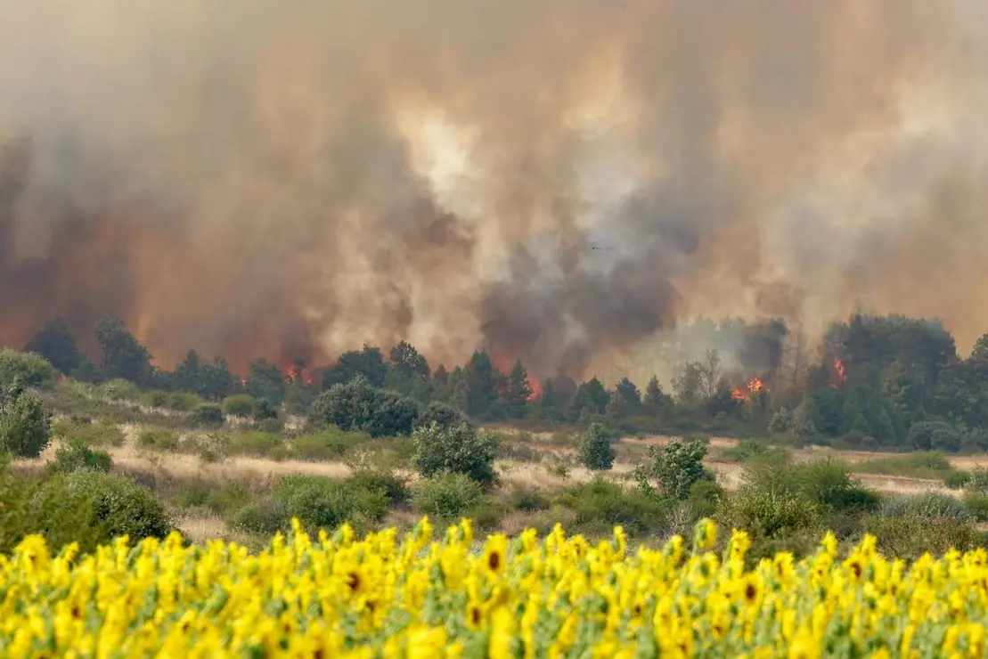 Incendio San Cipriano (6)