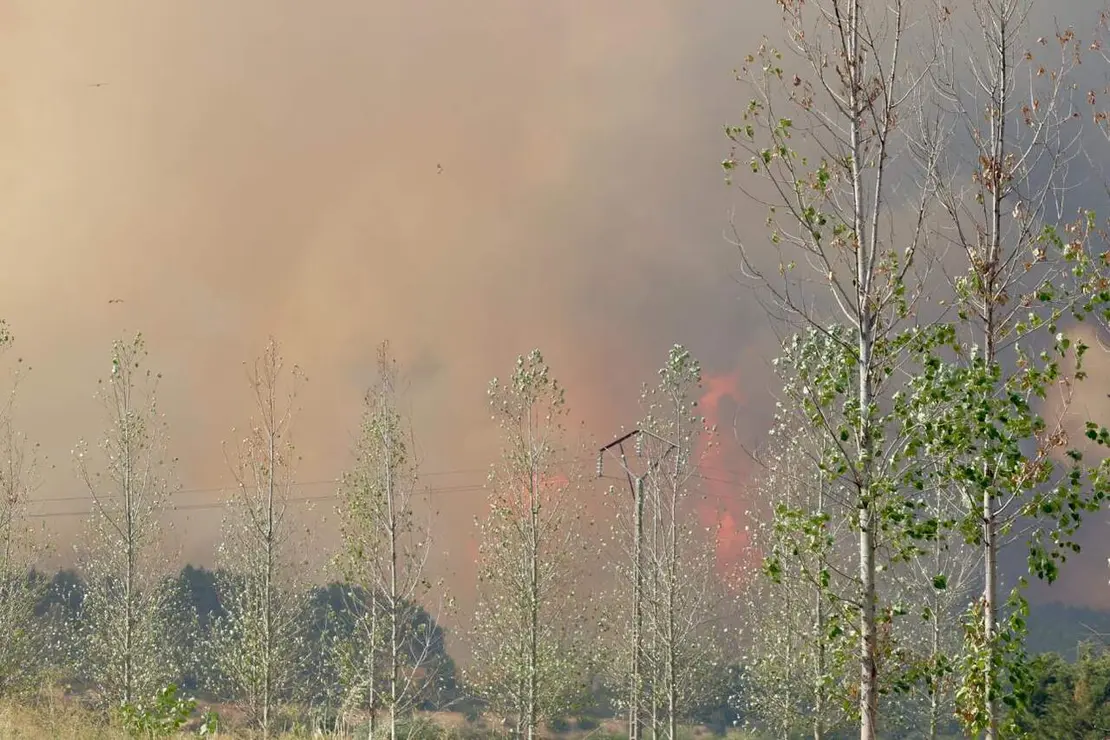 Incendio San Cipriano (8)