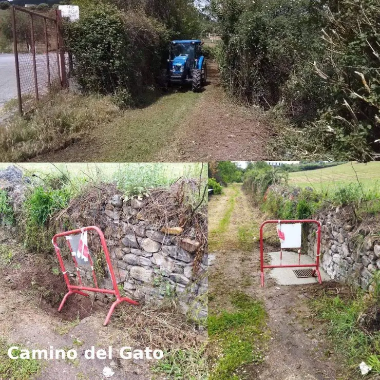 La Brigada de Obras del Ayuntamiento de Ponferrada ha completado 1.600 intervenciones entre los meses de mayo y el 27 de julio de este a&ntilde;o, seg&uacute;n el balance presentado en la comisi&oacute;n informativa de la Concejal&iacute;a de Infr (18)