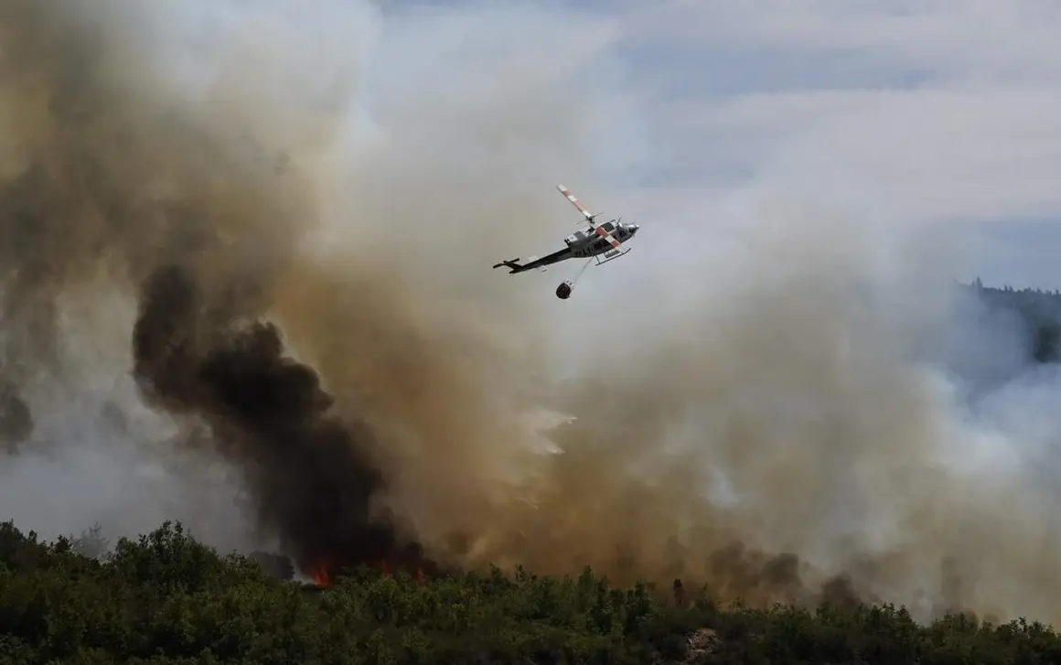 Incendios (5)