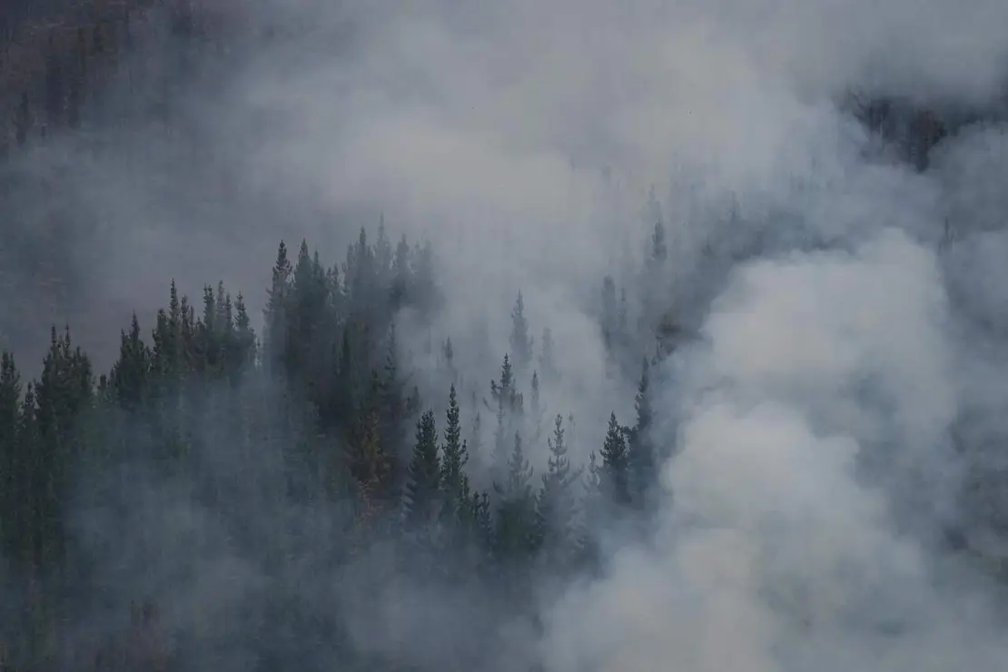 Incendios (12)