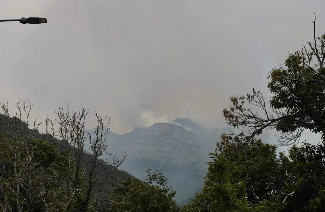 Incendios (15)
