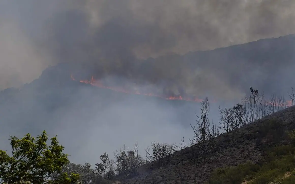 Incendios (18)