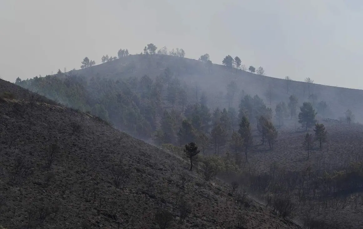 Incendios (19)