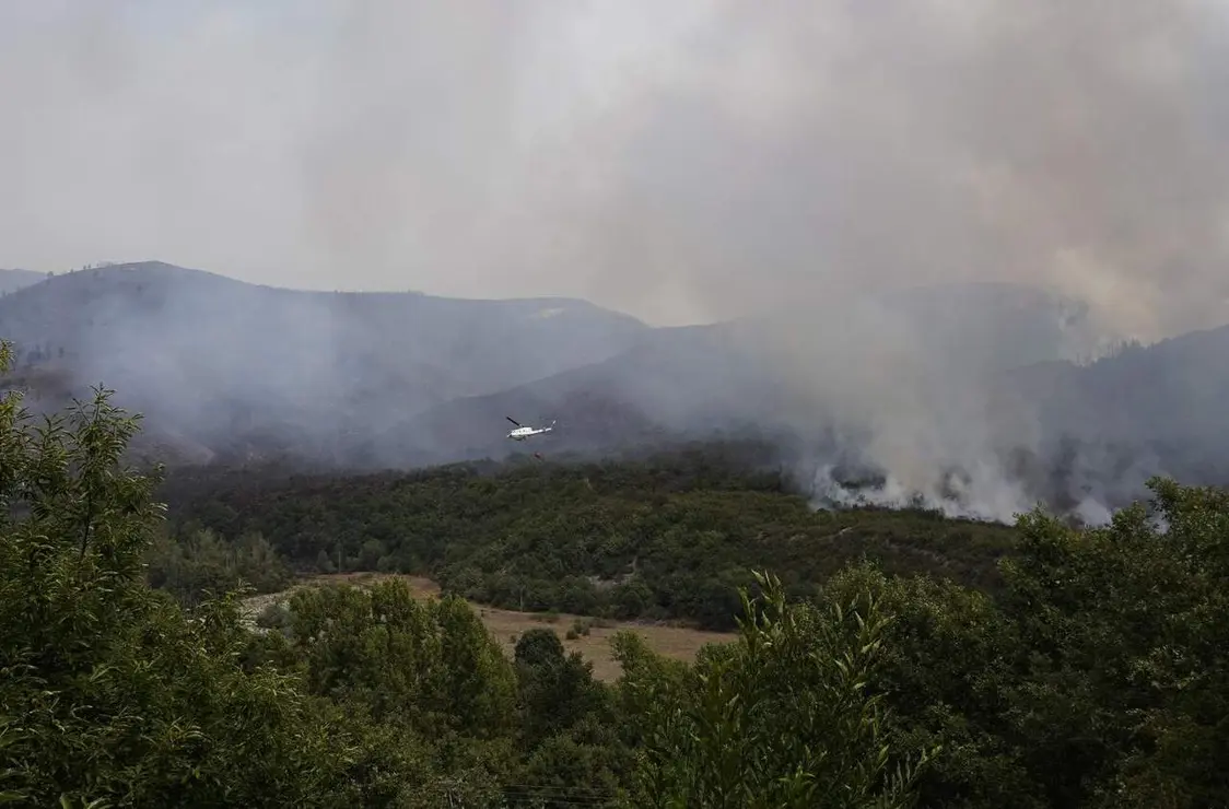 Incendios (20)