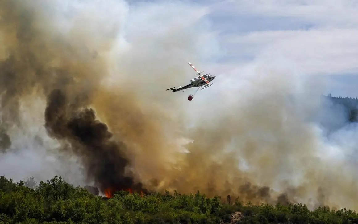Incendios (25)