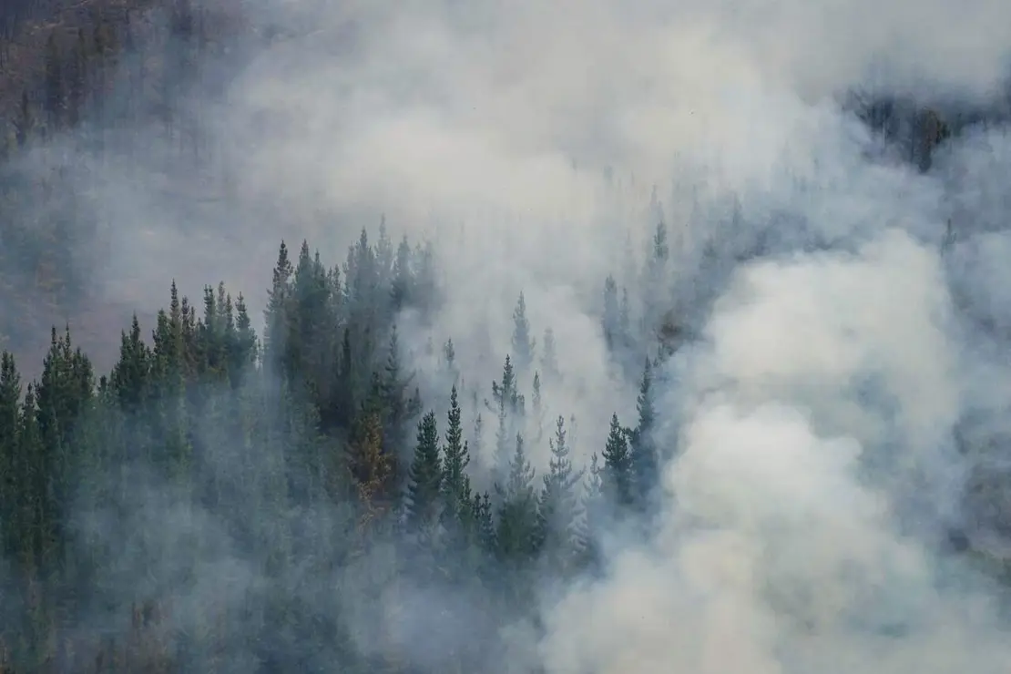 Incendios (26)