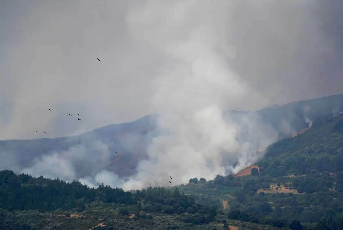 fuego (2)