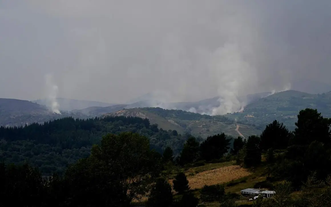 fuego (3)
