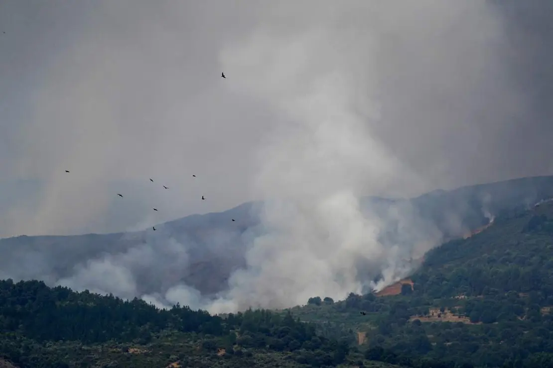fuego (4)