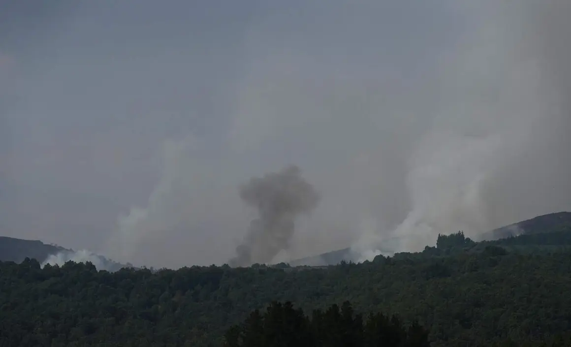fuego (5)