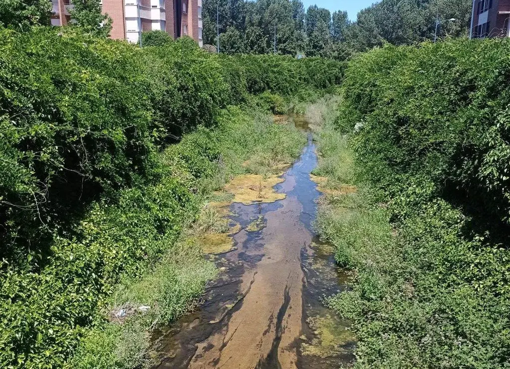 UPL reclama la urgente limpieza del cauce del Canal Carbosillo a su paso por el t&eacute;rmino municipal de Le&oacute;n. Foto: UPL.