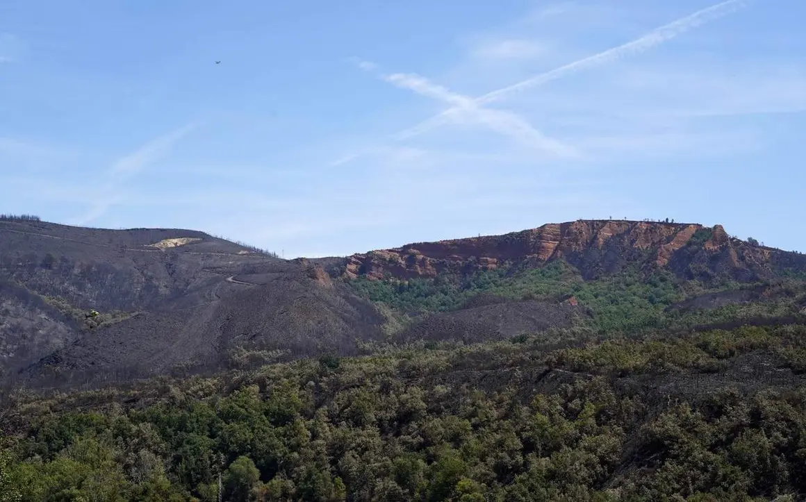 incendio leitosa veguellina (2)