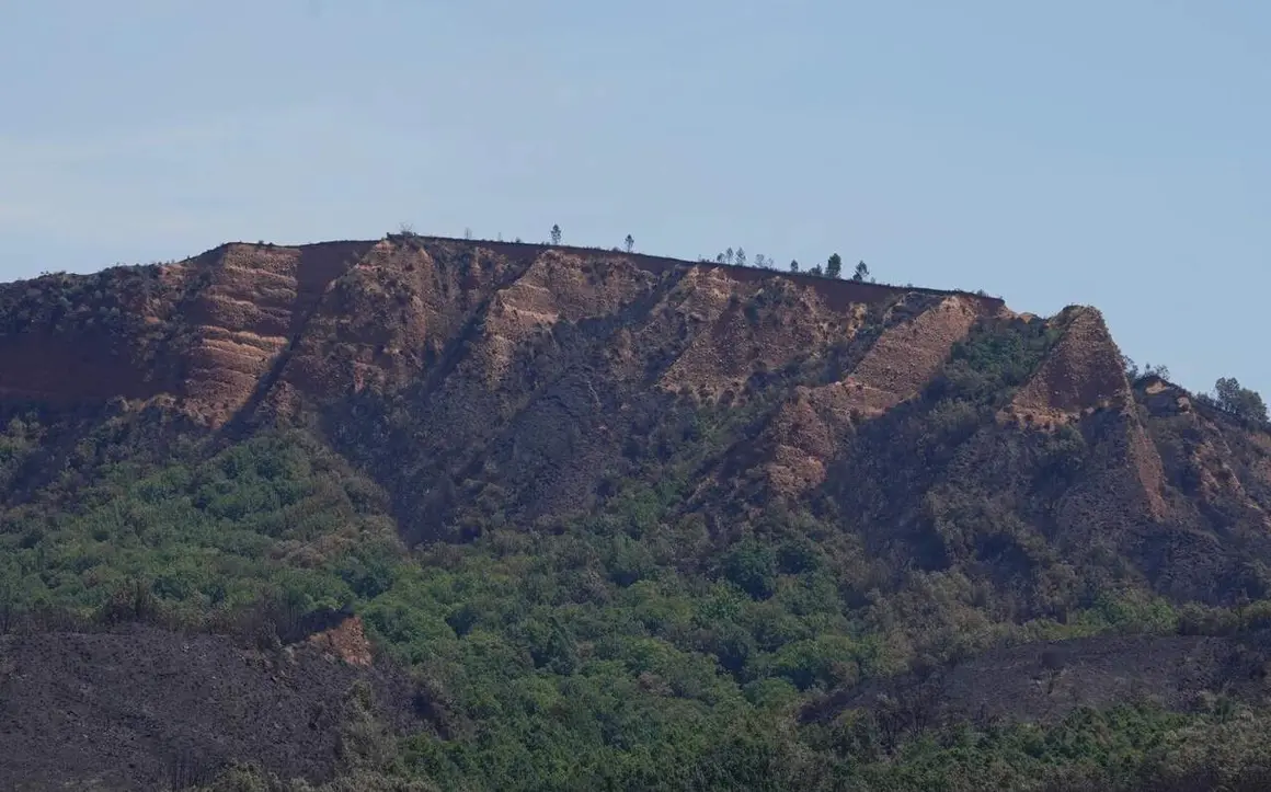 incendio leitosa veguellina (6)