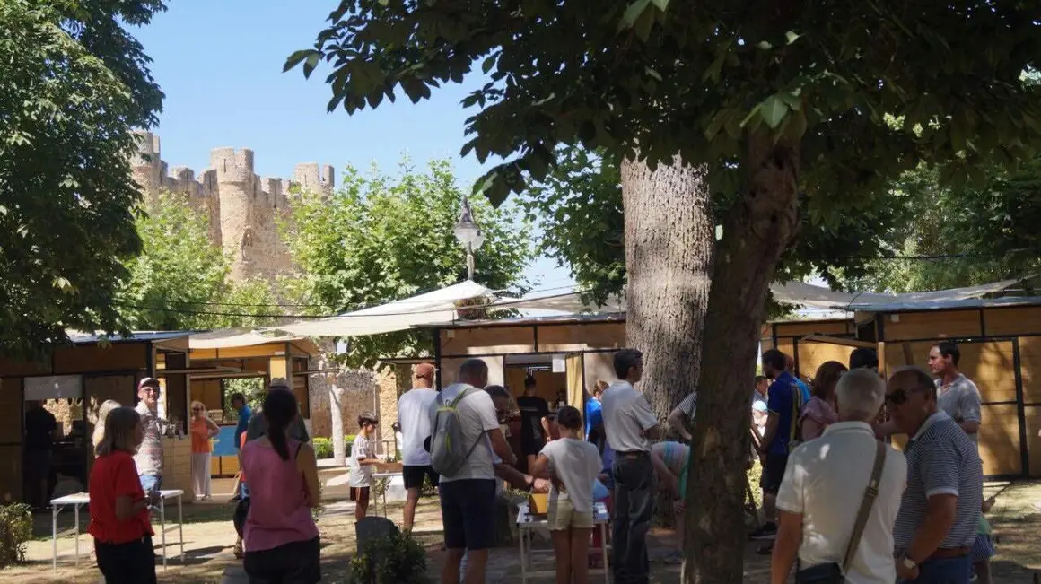 Valencia de Don Juan (18)