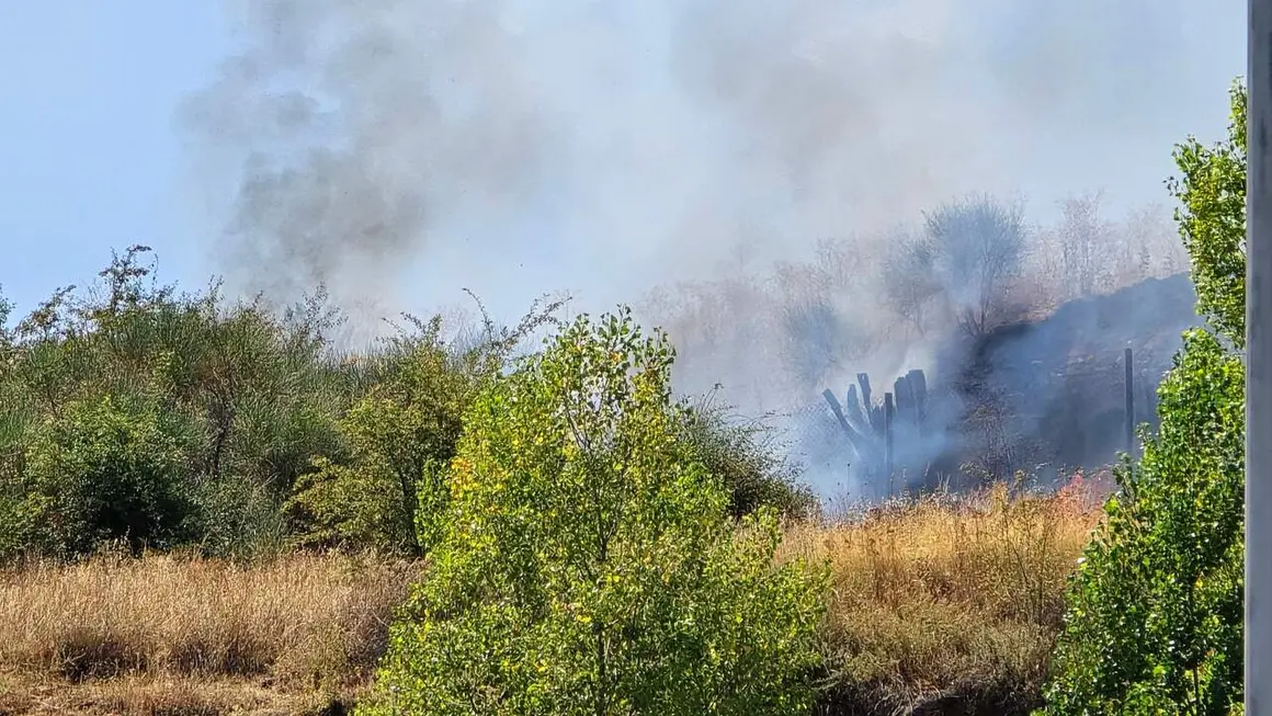 incendio oteruelo (1)