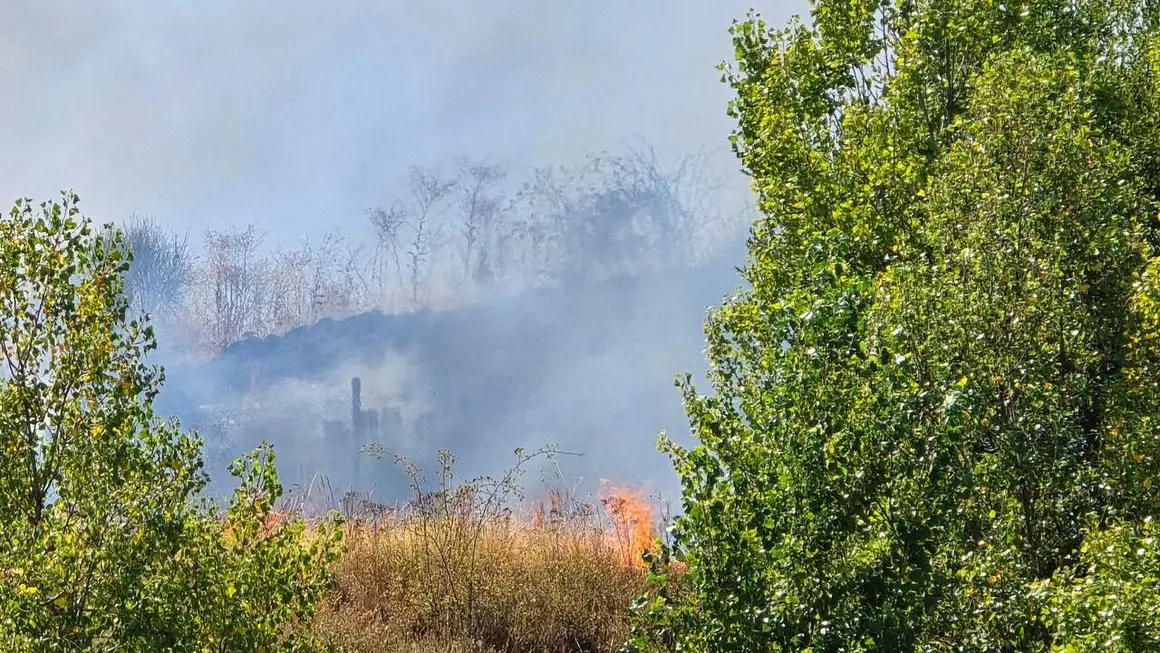 incendio oteruelo (4)