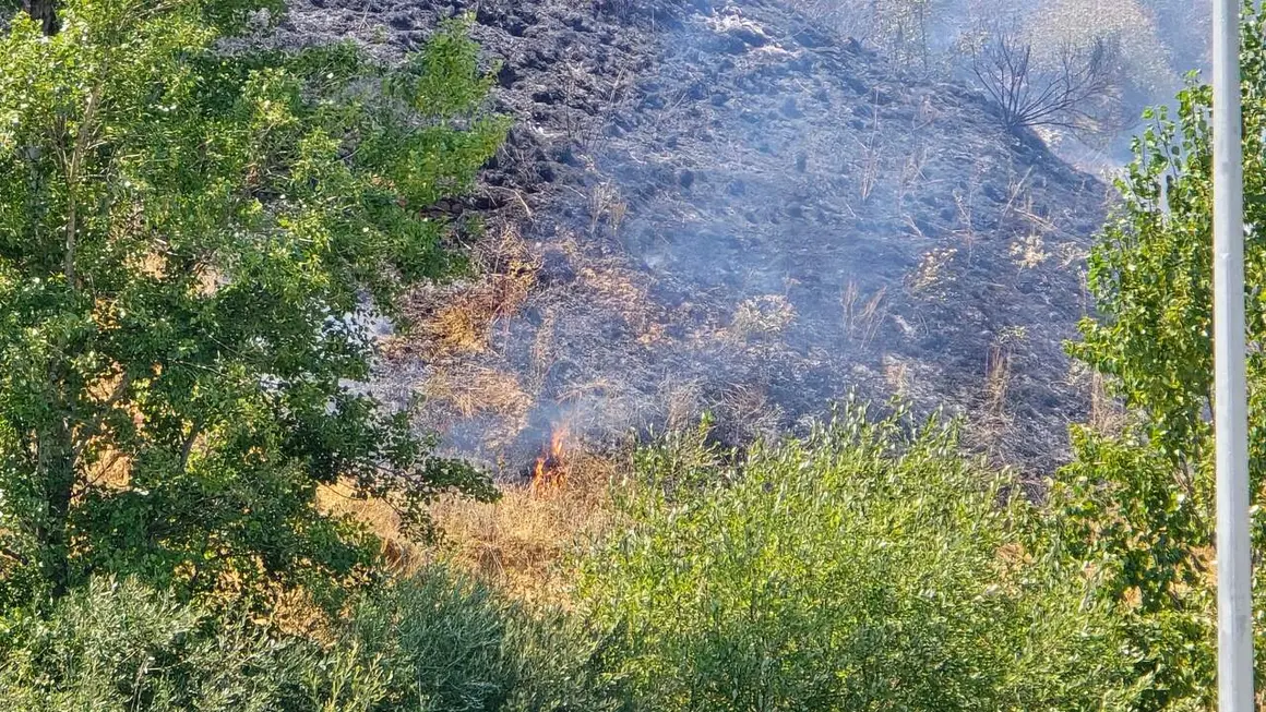 incendio oteruelo (5)