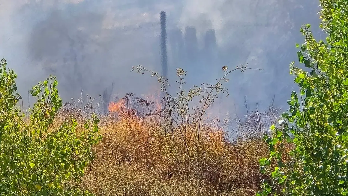 incendio oteruelo (6)