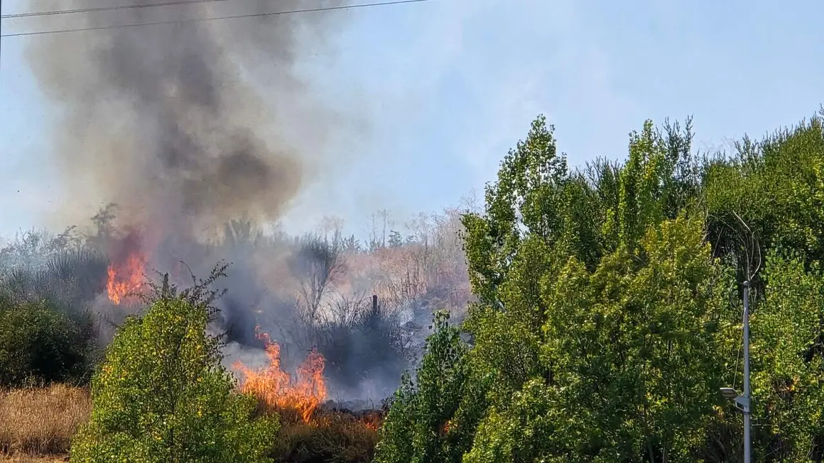 incendio oteruelo (7)