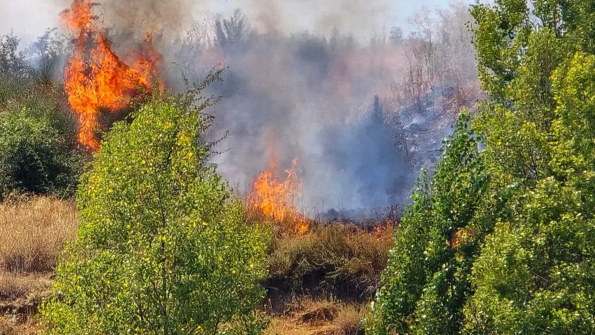 incendio oteruelo (8)