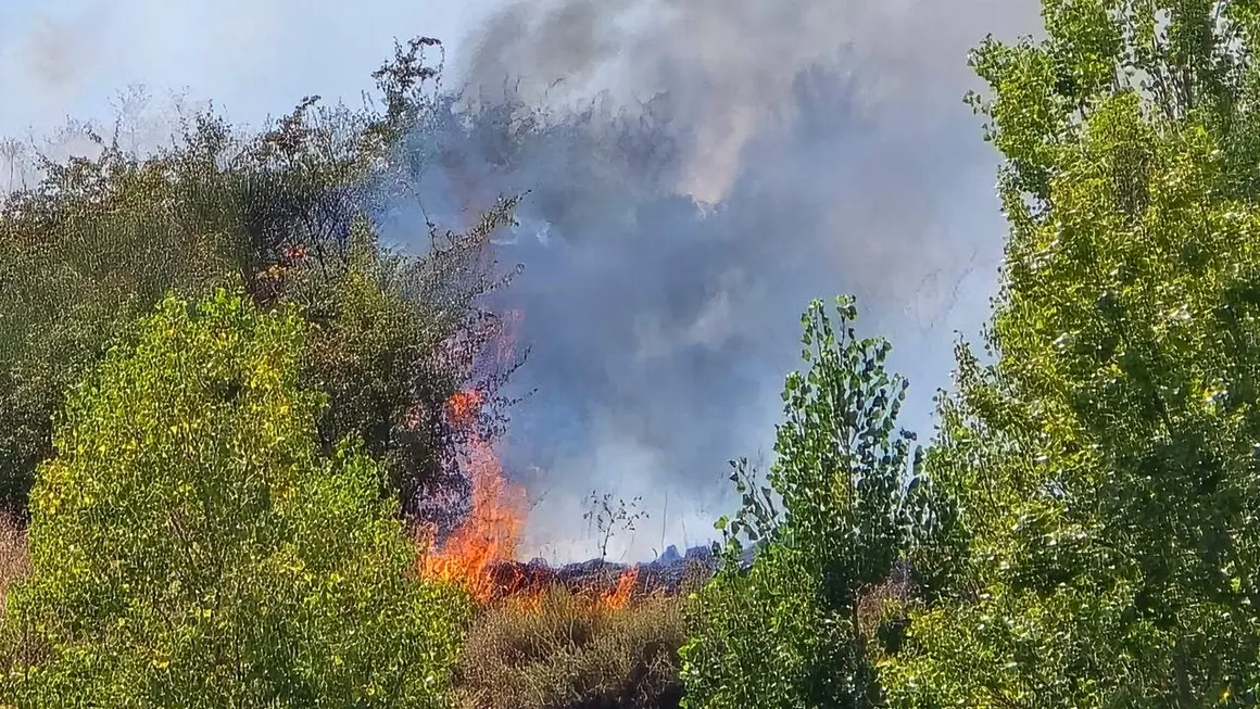 incendio oteruelo (9)