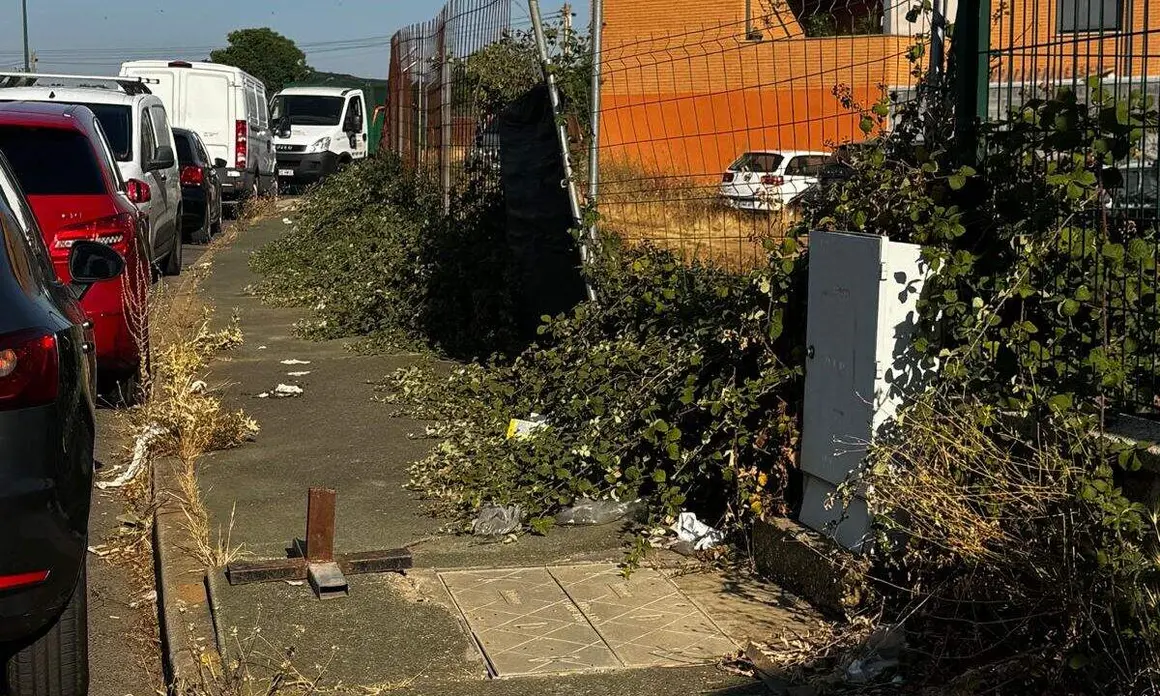 contenedores san andres 2